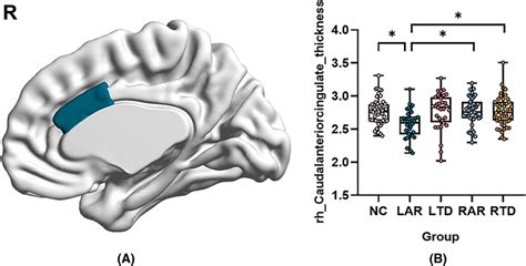 Comparison of cortical thickness among five groups. Comparison of... | Download Scientific Diagram