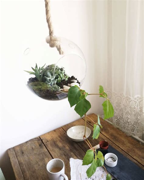 PLANT TERRARIUM DIY - Le café de maman