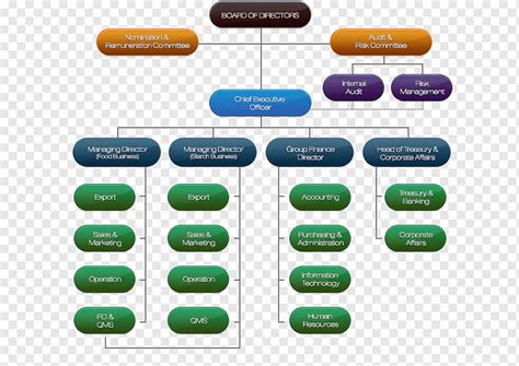 Organizational structure Public company Organizational chart Limited company, Business, text ...