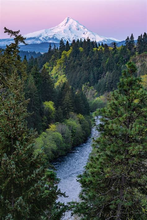 Mount Hood | Oregon photography, Oregon nature, Oregon landscape