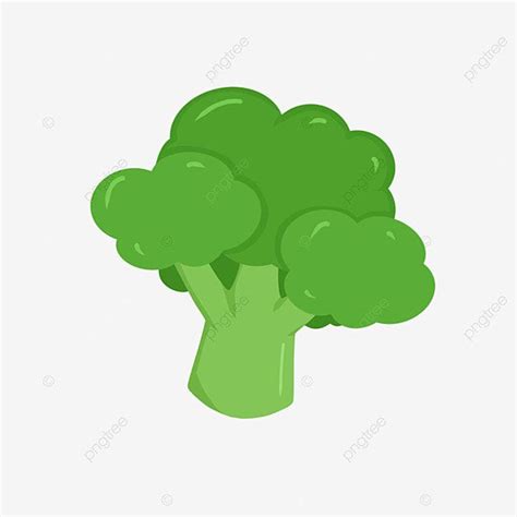 Cartoon Broccoli White Transparent, Broccoli Cartoon, Broccoli ...