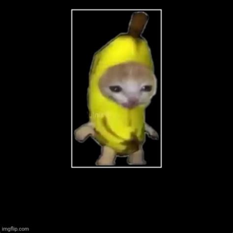 banana cat - Imgflip