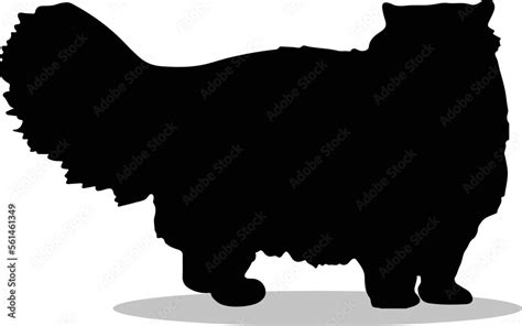 Persian Cat Silhouette, cute Persian Cat Vector Silhouette, Cute Persian Cat cartoon Silhouette ...