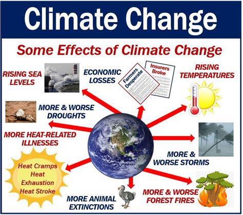 The Connections between Sustainability and Food Insecurity – Food ...