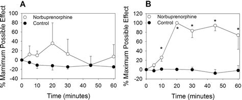 Antinociceptive effects of norbuprenorphine in mdr1a(/) and wild-type... | Download Scientific ...