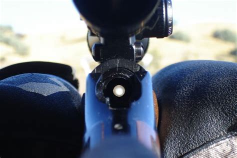 How to Boresight a Rifle: Ensuring Your Shot's Accuracy