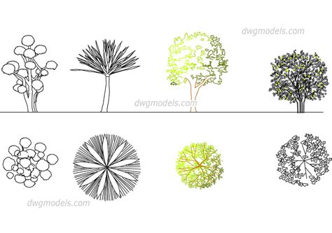 Ornamental trees DWG, free CAD Blocks download