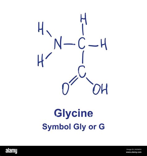 Glycine Structure