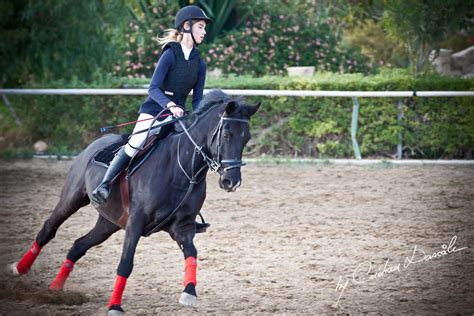 Curium Equestrian Center | Horse Riding Competition of 2011