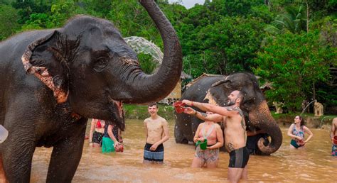 Green Elephant Sanctuary Park Phuket - Bon Voyage Thailand