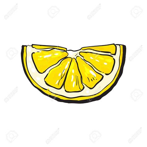 Lemon Drawing at GetDrawings | Free download