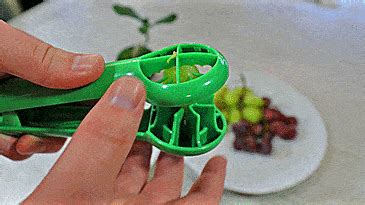 Grape Slicer Easily Cuts Grapes Into 4 Even Slices