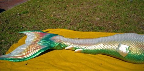 Merbella tail - Google Search i fell in love with this tail,, the ...