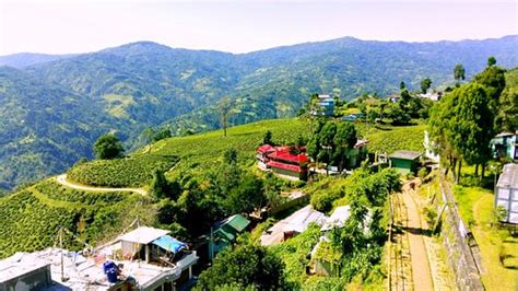 Ilam 2021: Best of Ilam, Nepal Tourism - Tripadvisor