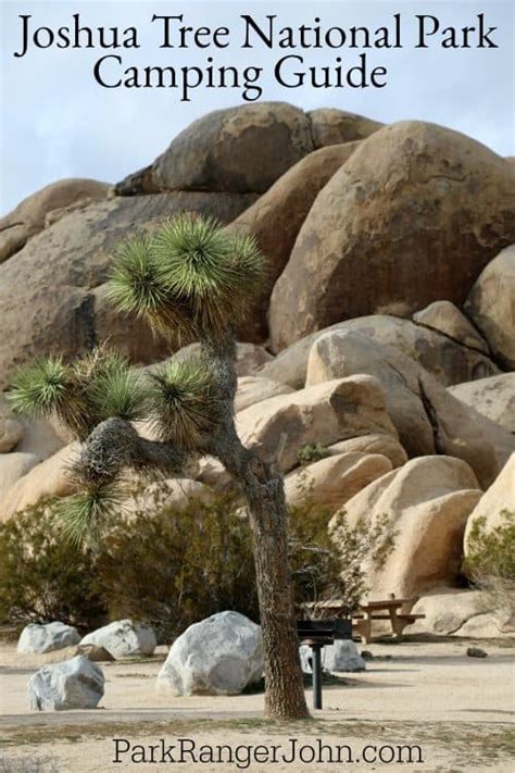 Ultimate Joshua Tree Camping Guide | Park Ranger John