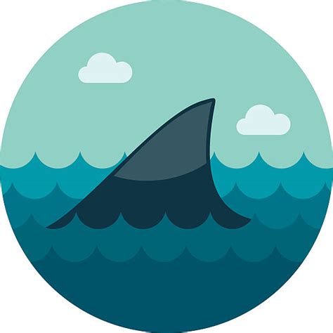 Royalty Free Shark Fin Clip Art, Vector Images & Illustrations - iStock