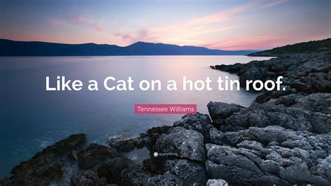 Tennessee Williams Quote: “Like a Cat on a hot tin roof.”