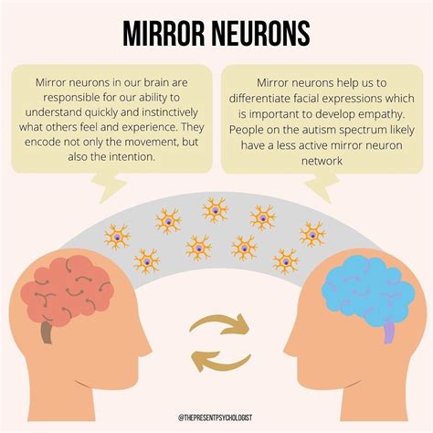 Mirror Neurons in our brains are responsible for our ability to understand quickly and ...