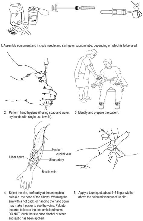 What Is Phlebotomy, Phlebotomy Study, Nursing School Studying, Medical ...