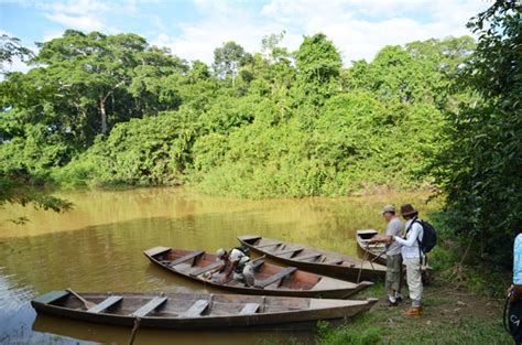 HABLACULTURA | Madre de Dios, un viaje por la selva amazónica