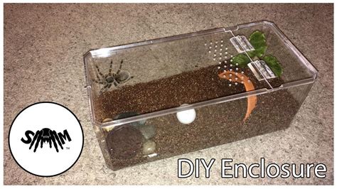 Diy Tarantula Enclosure : Tarantula Hides What They Are Why They Re Important Diy Tips - I ...