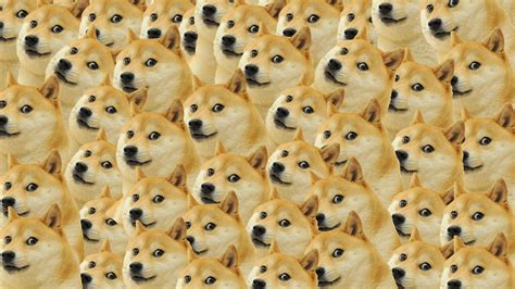 Doge Wallpapers - WallpaperSafari