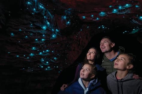 Te Anau Glowworm Caves Tour with Boat Ride Across Lake Te Anau 2025