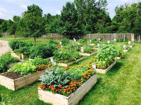 Community gardens provide fresh products and plants as well as ...