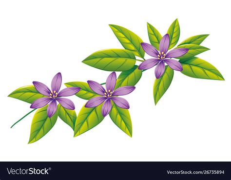 Purple flowers on green leaves Royalty Free Vector Image