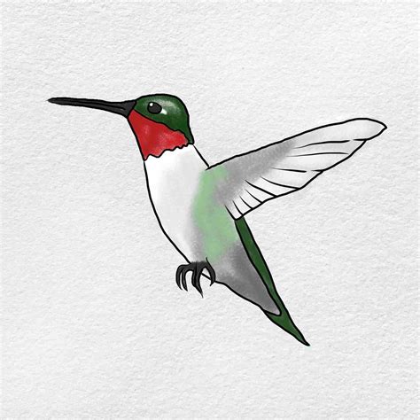 How to Draw Hummingbird - HelloArtsy