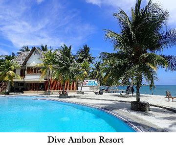Dive Into Ambon; Maluku Resort & Spa, Indonesia: Undercurrent 02/2017