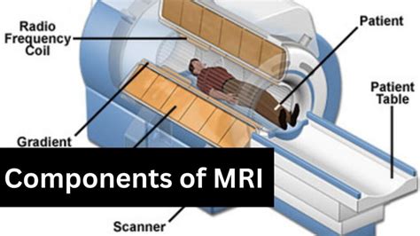 MRI Machine: The Most Important Components. - CTMRIHUB