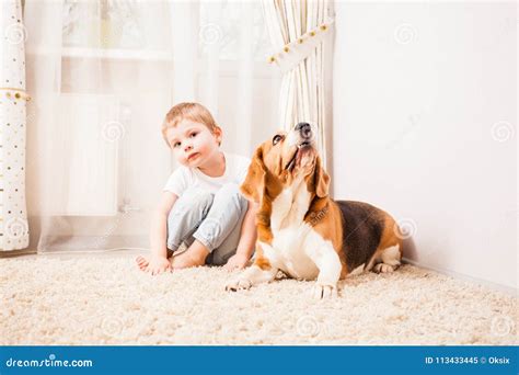 The dog protects the owner stock image. Image of cottage - 113433445