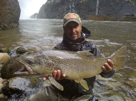 Fly Odyssey - Newsletters: Fly fishing Chile report