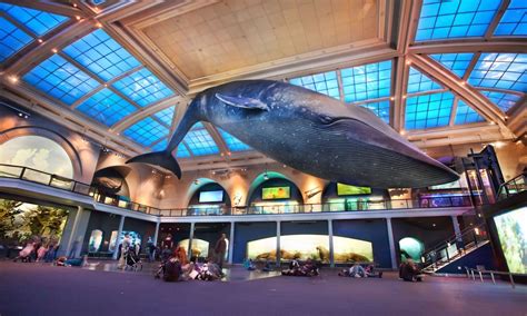 5 Highlights of Museum of Natural History