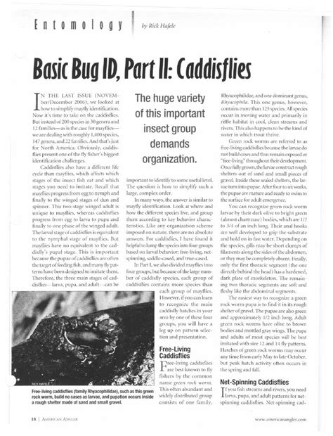 (PDF) cpw.state.co.us · Caddisflies also have a different life cycle ...