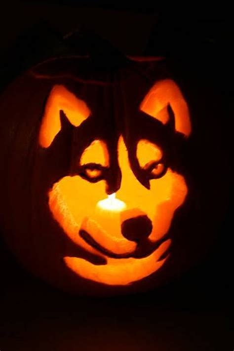 17 of the Coolest Pumpkins Carved Like Animals | Cuteness