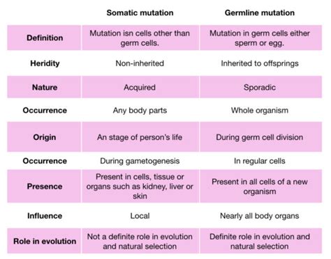 What is Somatic and Germline Mutation? – Genetic Education