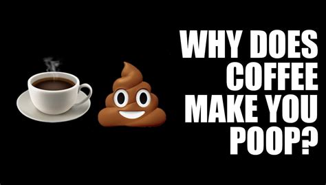 Why Does Coffee Make You Poop?