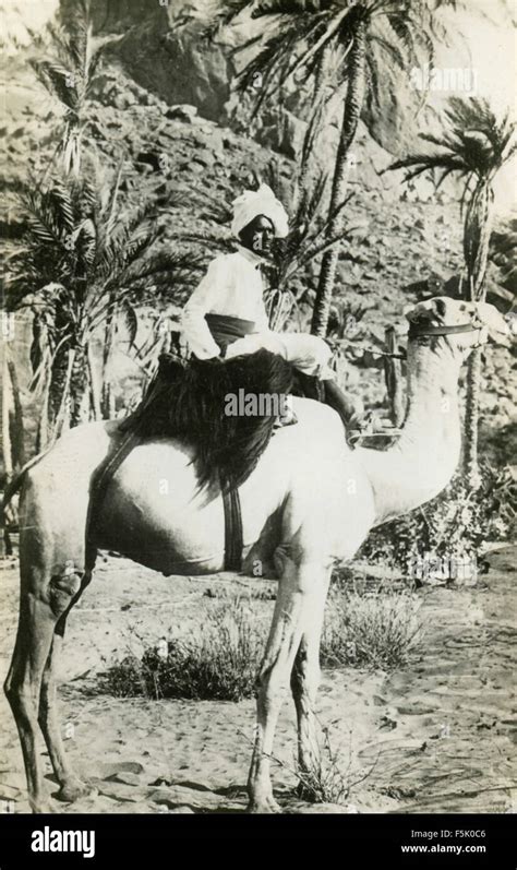 An African on a camel , East Africa Stock Photo - Alamy