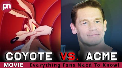 Coyote vs. Acme Movie: Everything Fans Need To Know - Premiere Next ...