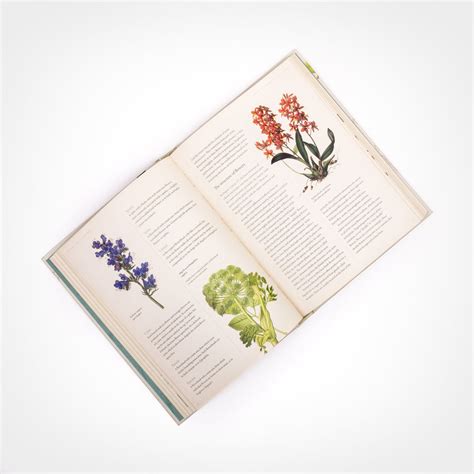 Practical Botany for Gardeners | Plant book, Botany books, Botanical terms