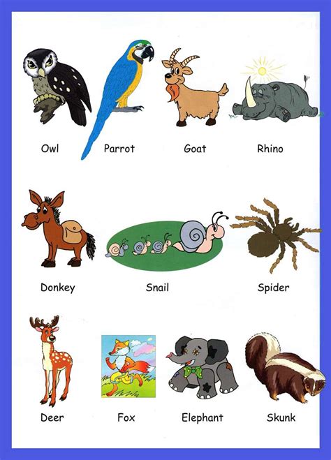 Animals Vocabulary For Kids