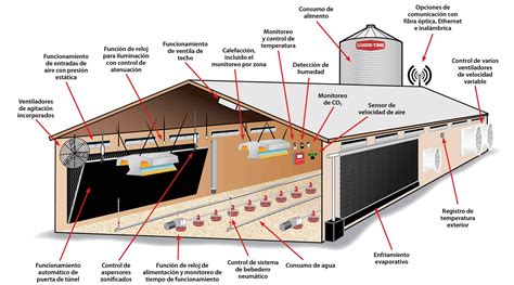 Construccion De Granjas De Pollos De Engorde - Noticias de Pollo