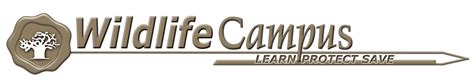 WildlifeCampus - Game Ranging, Field Guiding, Game Lodge Management, Wildlife & Guiding Courses