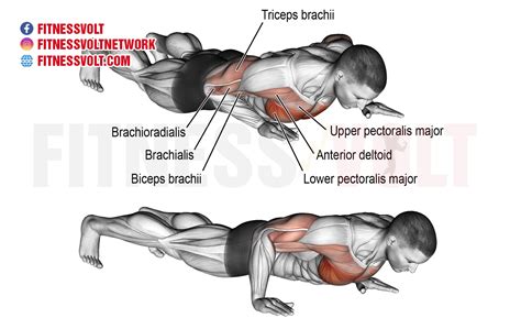 Isometric Wiper (Chest) – Fitness Volt