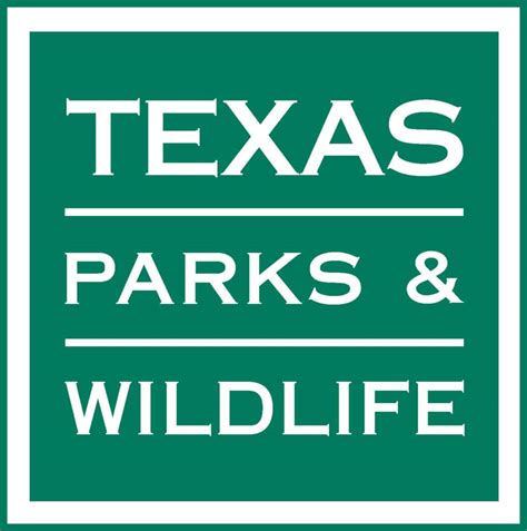 Texas hunting, fishing licenses now on sale | Brownwood News