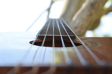 Free Images : string instrument, plucked string instruments, musical instrument, acoustic guitar ...