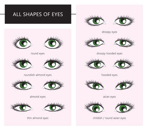 Finding Appropriate Lash Extensions According to Your Eye-Shape