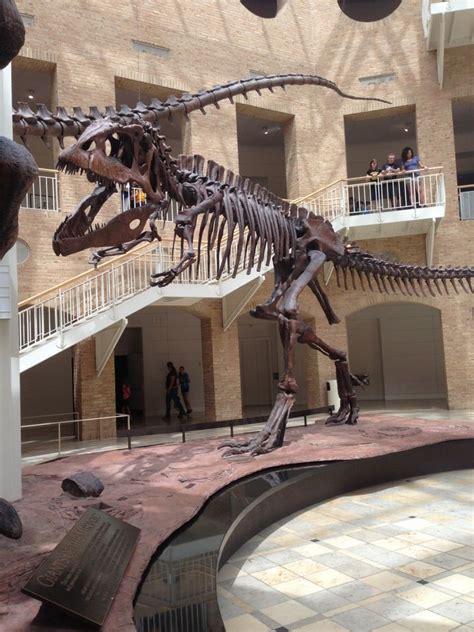 Fernbank Museum of Natural History | Natural science museum, Natural history, History